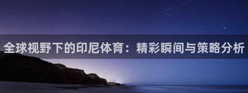 全球视野下的印尼体育：精彩瞬间与策略分析