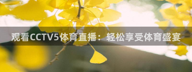 观看CCTV5体育直播：轻松享受体育盛宴