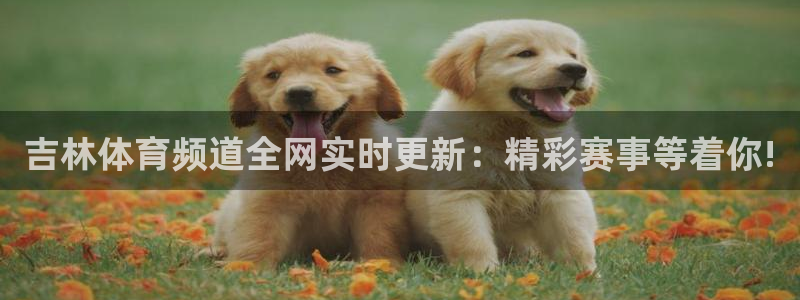 吉林体育频道全网实时更新：精彩赛事等着你!