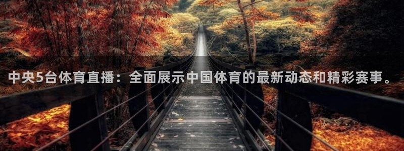 中央5台体育直播：全面展示中国体育的最新动态和精彩赛事。