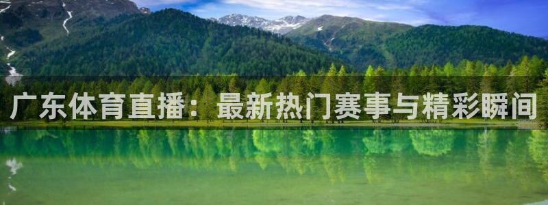 广东体育直播：最新热门赛事与精彩瞬间