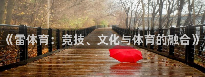 《雷体育：竞技、文化与体育的融合》